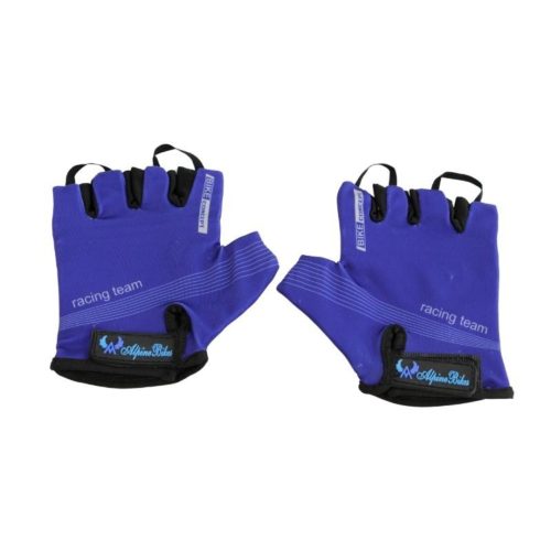 Alpine Gloves Aagl07