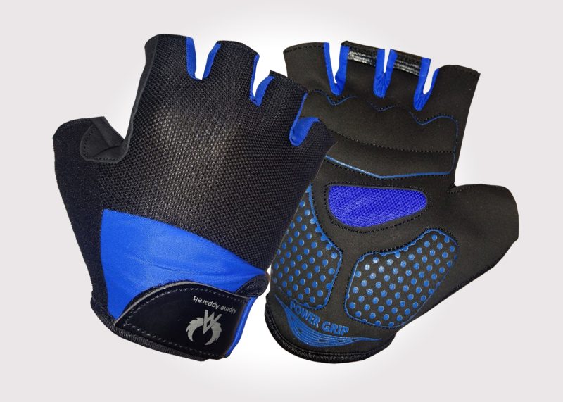Alpine Black And Blue Gloves