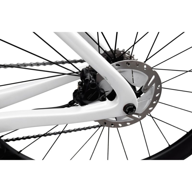 Dolan Ares Disc Carbon Road Bike?Shimano-12Speed-105 R7120 Hyd - Image 2